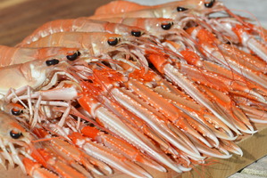 West Coast Langoustines a dinner speciality at Home Farm Muir of Ord