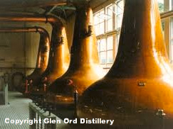 Glen Ord Distillery walking distance from Home Farm Bed and Breakfast Muir of Ord