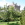 Cawdor Castle