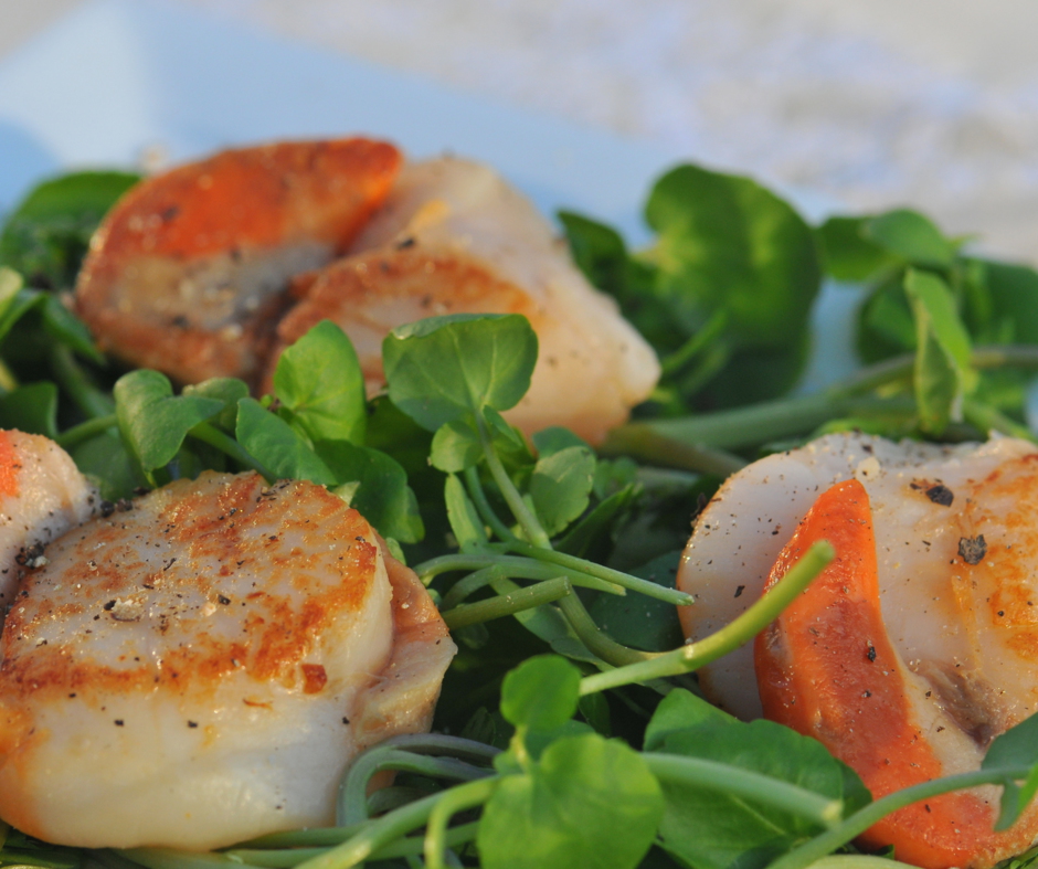 West Coast Hand Dived Scallops a speciality at Home Farm Bed and Breakfast Northern Scotland